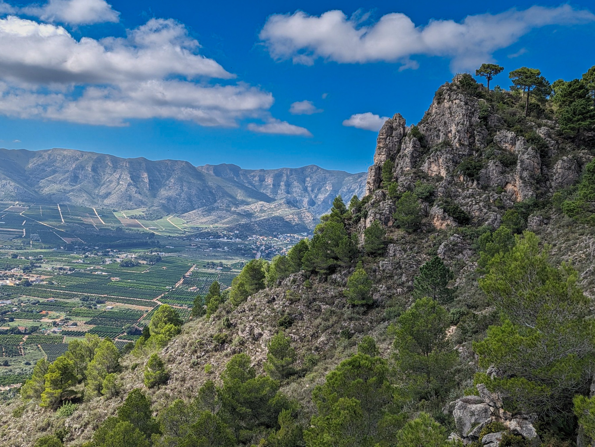 Mountain trail panorama